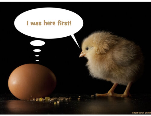 What came first?
